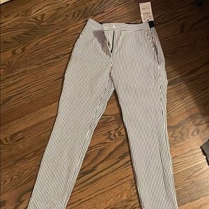 Zara Jogger Waist Pant
